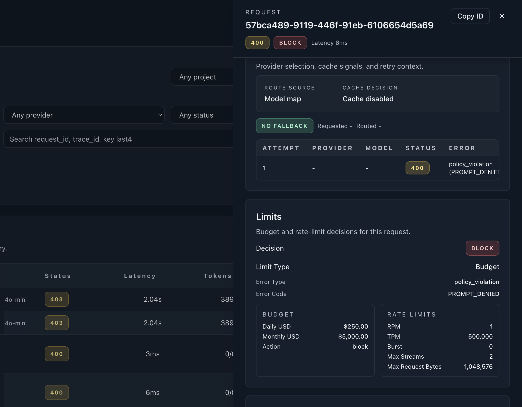 Budgets and caps placeholder screenshot